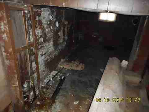 8266 Badger (31)_m.jpg